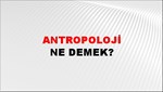 Antropoloji 