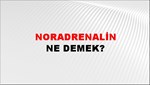 Noradrenalin 