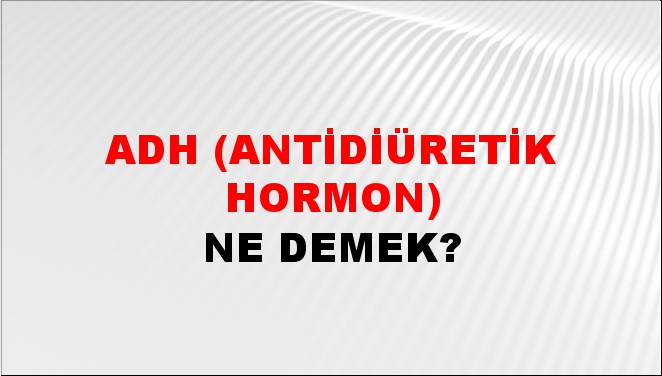 ADH (Antidiüretik Hormon) 