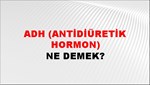 ADH (Antidiüretik Hormon) 