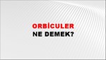 Orbiculer 