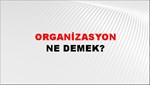 Organizasyon 