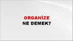 Organize 