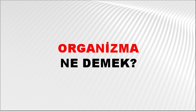 Organizma 