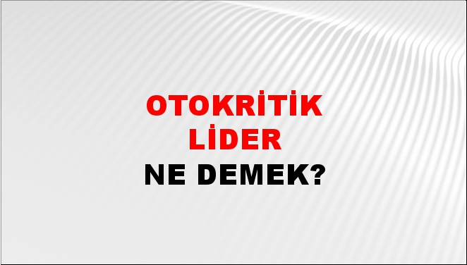 Otokritik Lider 