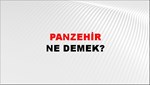 Panzehir 