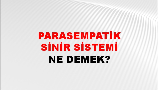 Parasempatik Sinir Sistemi 