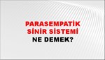 Parasempatik Sinir Sistemi 