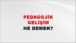 Pedagojik Gelişim 