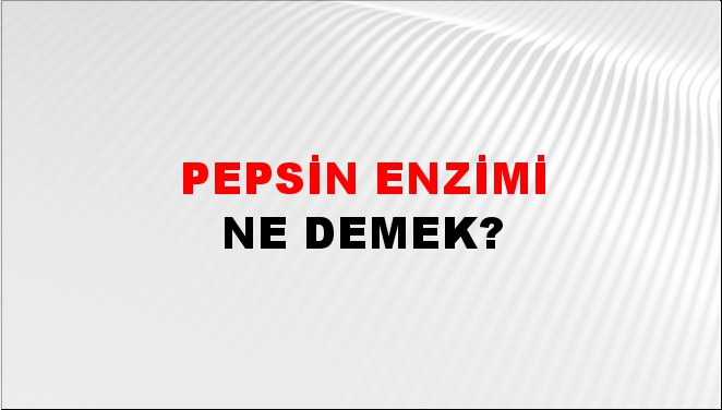 Pepsin Enzimi 