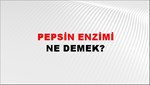 Pepsin Enzimi 