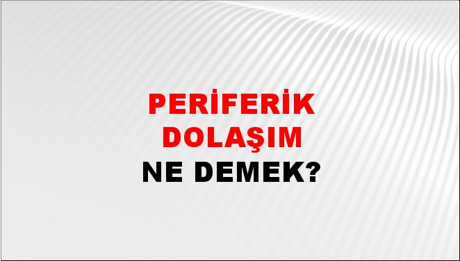 Periferik Dolaşım 