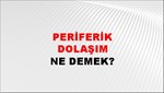 Periferik Dolaşım 