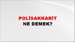 Polisakkarit 