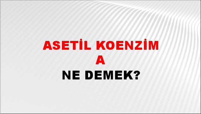 Asetil Koenzim A 