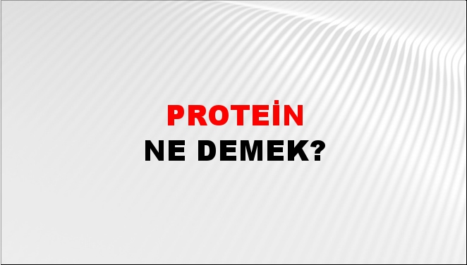 Protein 