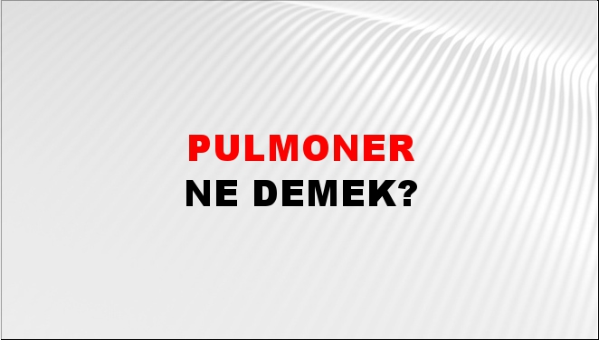 Pulmoner Ne Demek? Pulmoner Nedir? NTVSpor