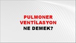 Pulmoner Ventilasyon 