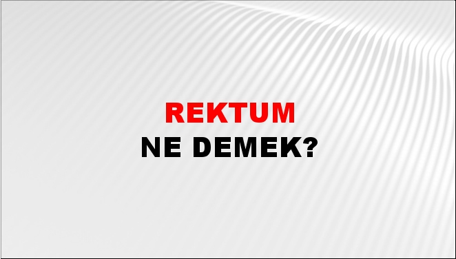 Rektum 