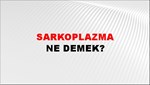 Sarkoplazma 