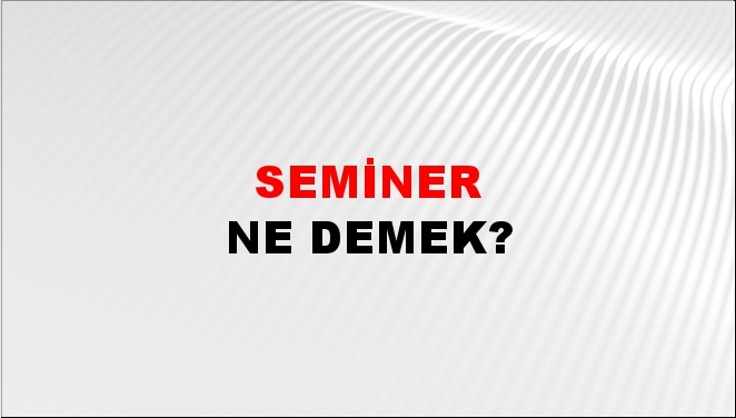 Seminer 