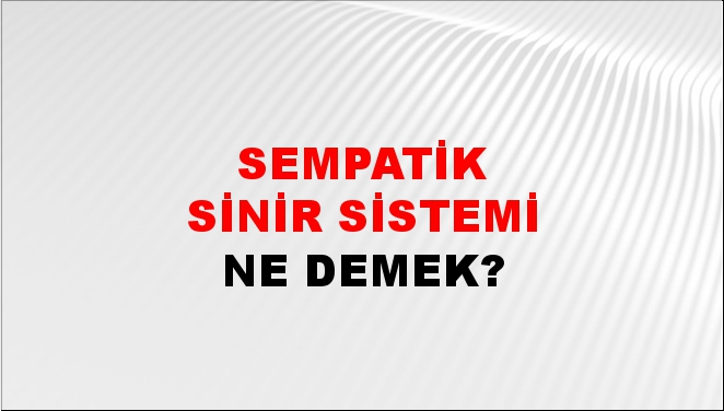 Sempatik Sinir Sistemi 