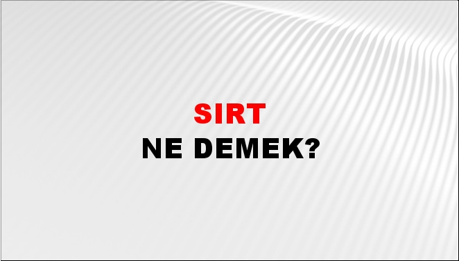 Sırt 