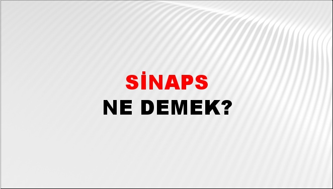 Sinaps 