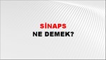 Sinaps 