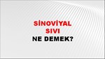 Sinoviyal Sıvı 