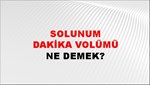 Solunum Dakika Volümü 