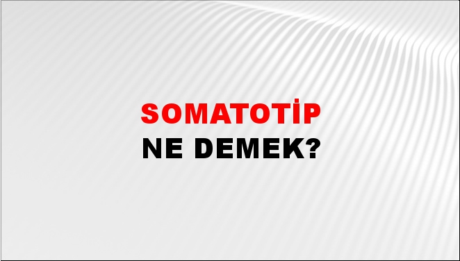 Somatotip 