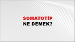 Somatotip 