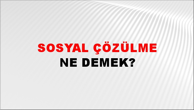 Sosyal Çözülme 