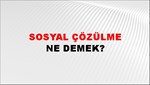 Sosyal Çözülme 