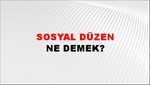 Sosyal Düzen 