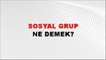 Sosyal Grup 