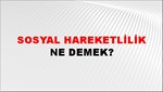 Sosyal Hareketlilik 