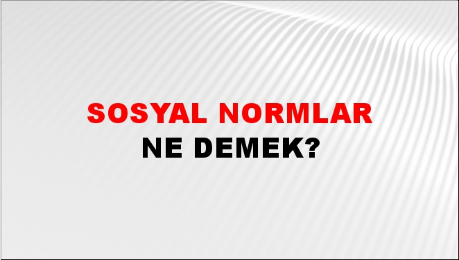 Sosyal Normlar 