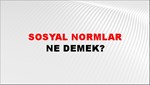 Sosyal Normlar 