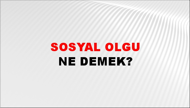 Sosyal Olgu 