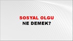 Sosyal Olgu 