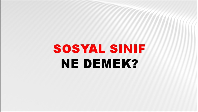 Sosyal Sınıf 