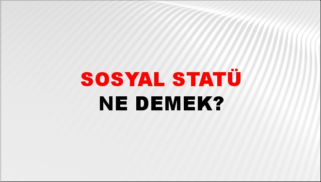 Sosyal Statü 