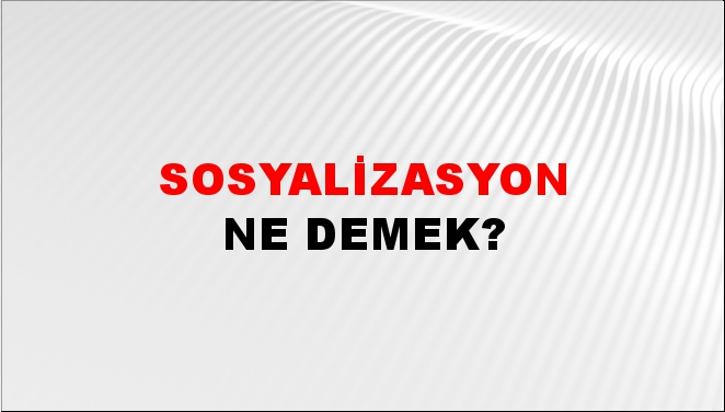 Sosyalizasyon 