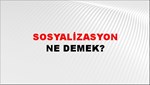 Sosyalizasyon 