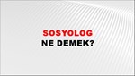 Sosyolog 