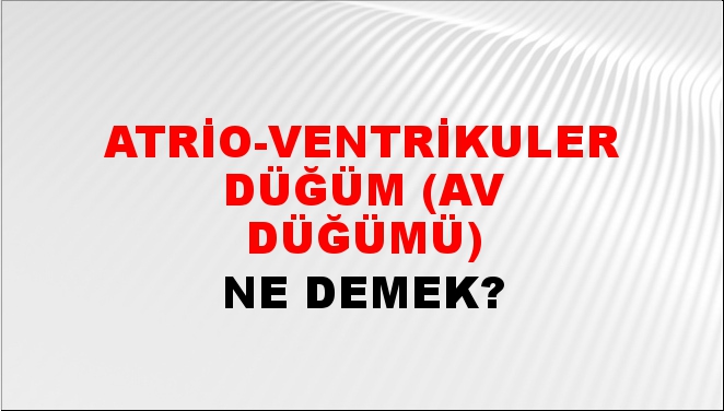 Atrio-Ventrikuler Düğüm (AV Düğümü) 