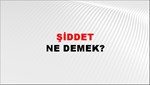 Şiddet 