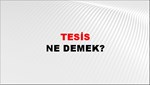 Tesis 